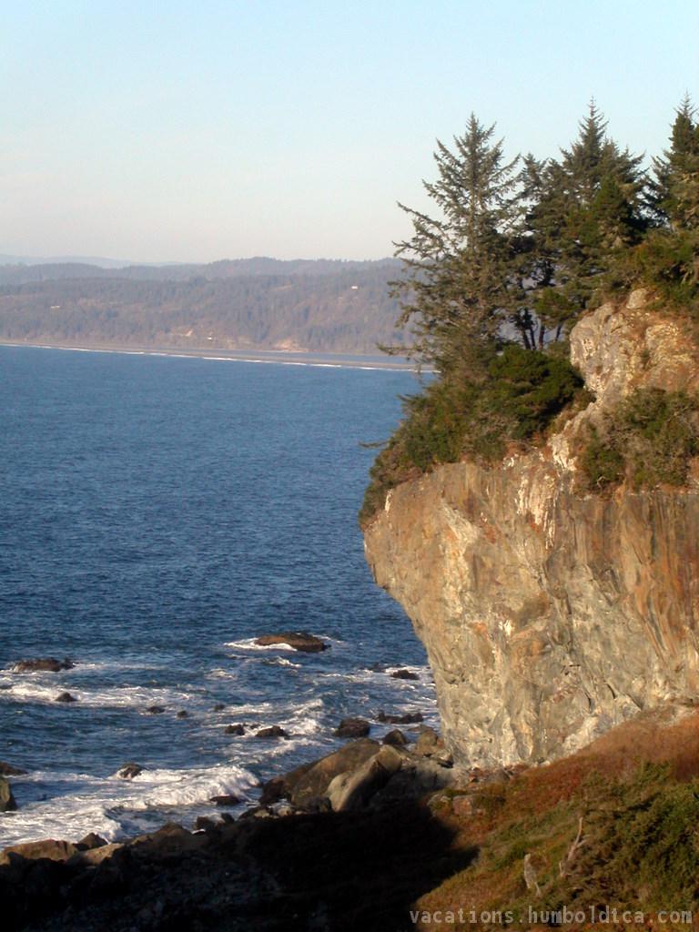 Where the Pacific meets the redwood forest